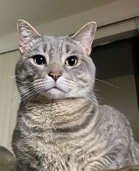 开云体育网站入口-电竞女选手Bunny加盟TeamLiquid，打破性别壁垒