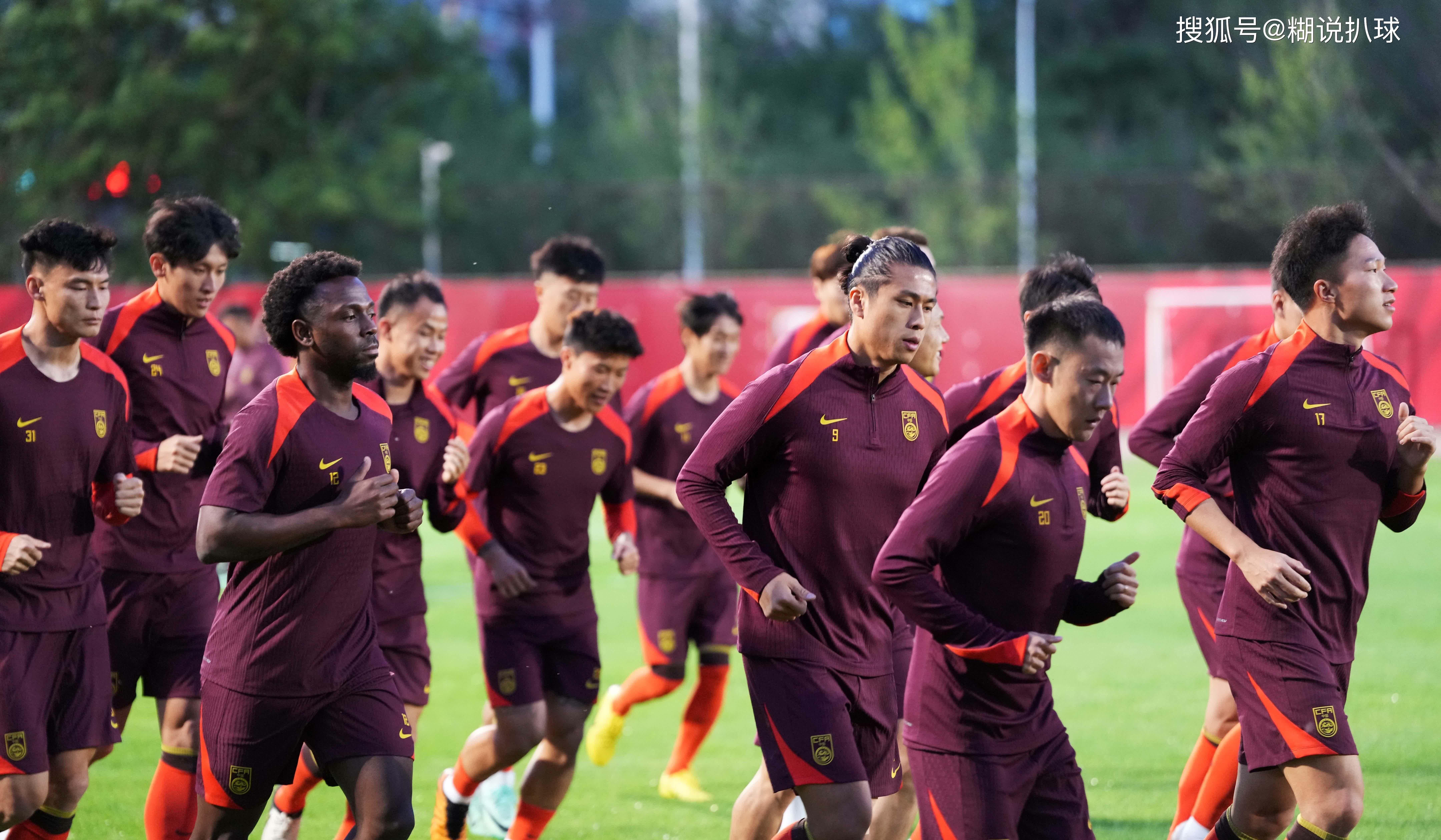 归化球员在国足的表现汇总